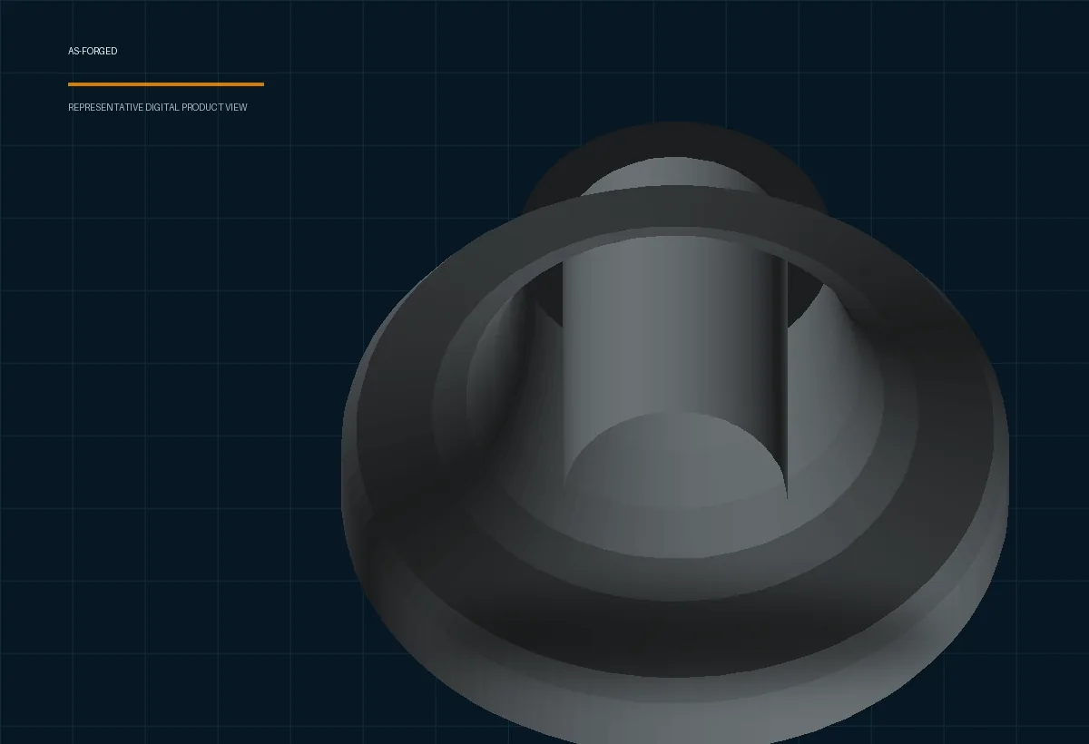 Representative NOKX high-neck forged flange model poster